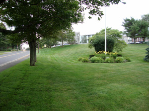 Landscape Services In Plymouth Ma, Landscapers Plymouth Ma